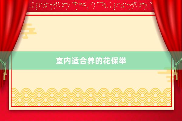 室内适合养的花保举
